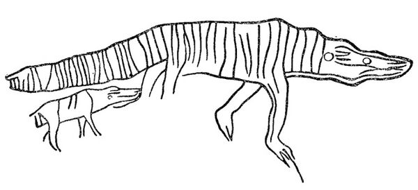  Рис. 2. Наскальный рисунок, изображающий крокодила (обнаружен проф. Фробениусом).